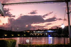 Cas Stephania e Gabriel-476